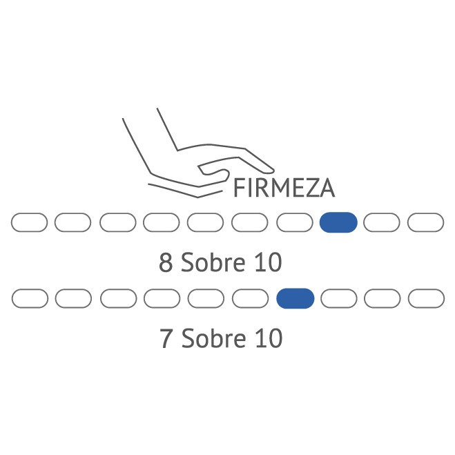 VAN GOGH ANATÓMICO - Imagen 4